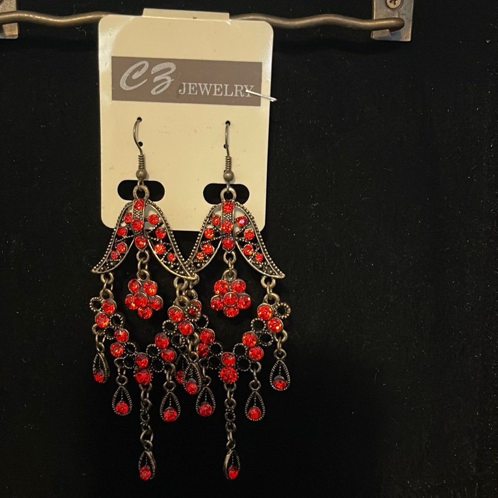 New Earrings hanging out in my jewelry box.